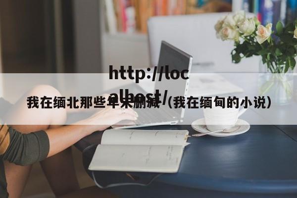我在缅北那些年未删减(我在缅甸的小说)